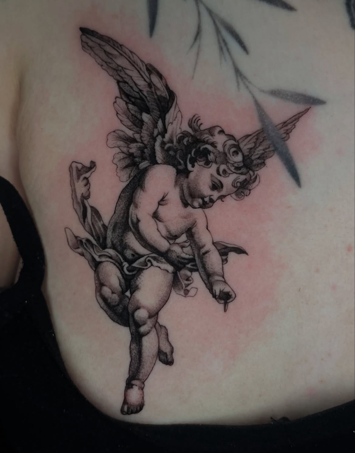 Cherub